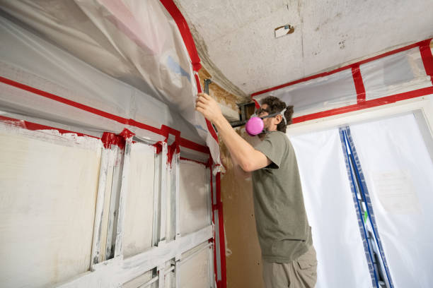 Best HVAC Mold Inspection and Cleaning  in Kurtistown, HI