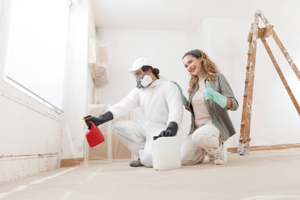 Reliable Kurtistown, HI Mold Removal Solutions