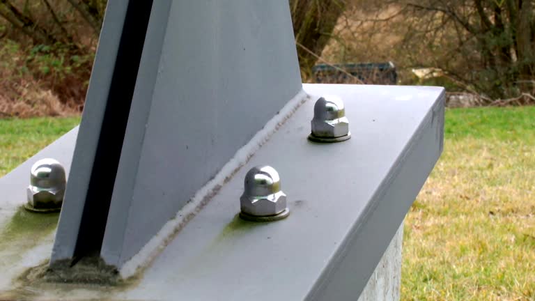Best Industrial Mold Remediation  in Kurtistown, HI